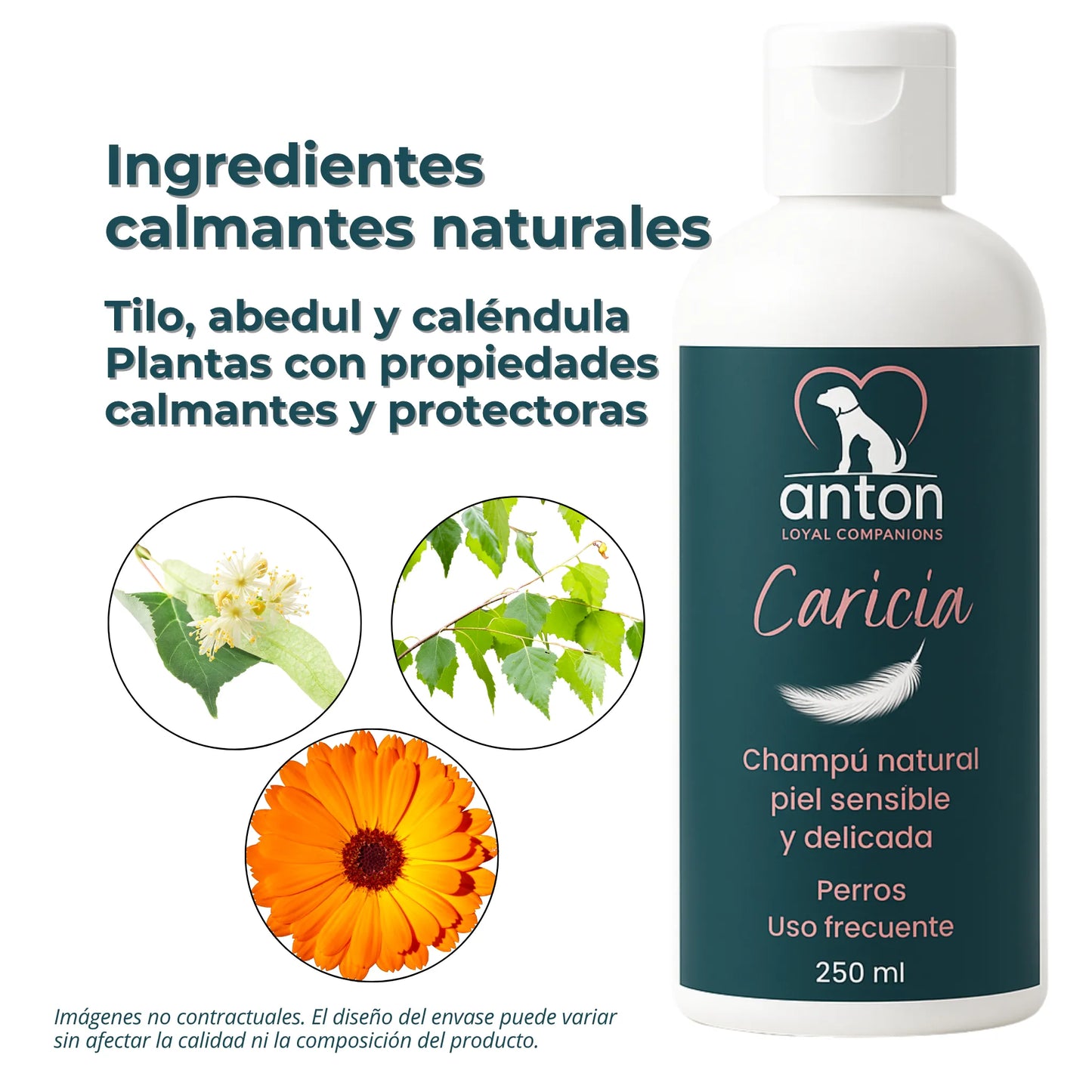 Champú Natural para Perros “Caricia” – Piel Sensible y Delicada