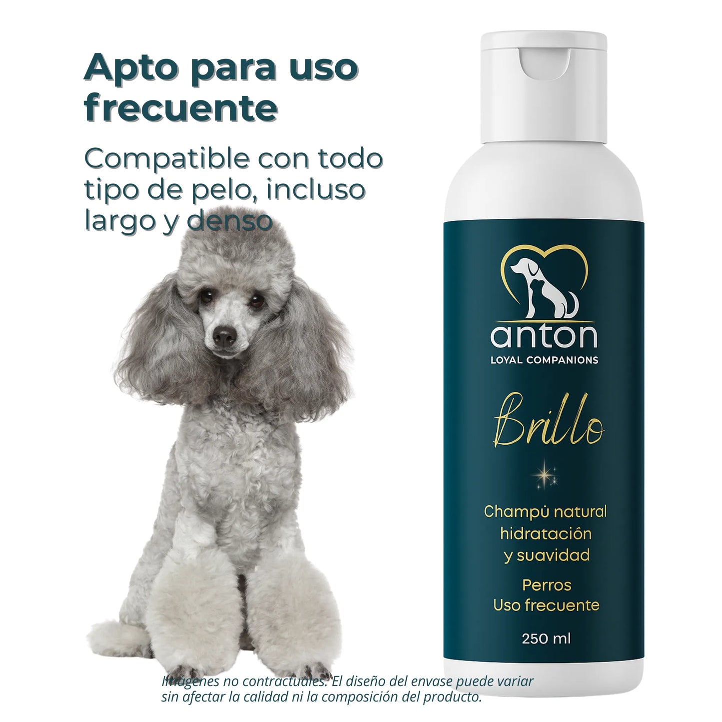 Champú Natural para Perros “Brillo” – Hidratación y Suavidad