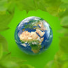 Compromiso respecto planeta perro y gato  Anton Loyal Companions