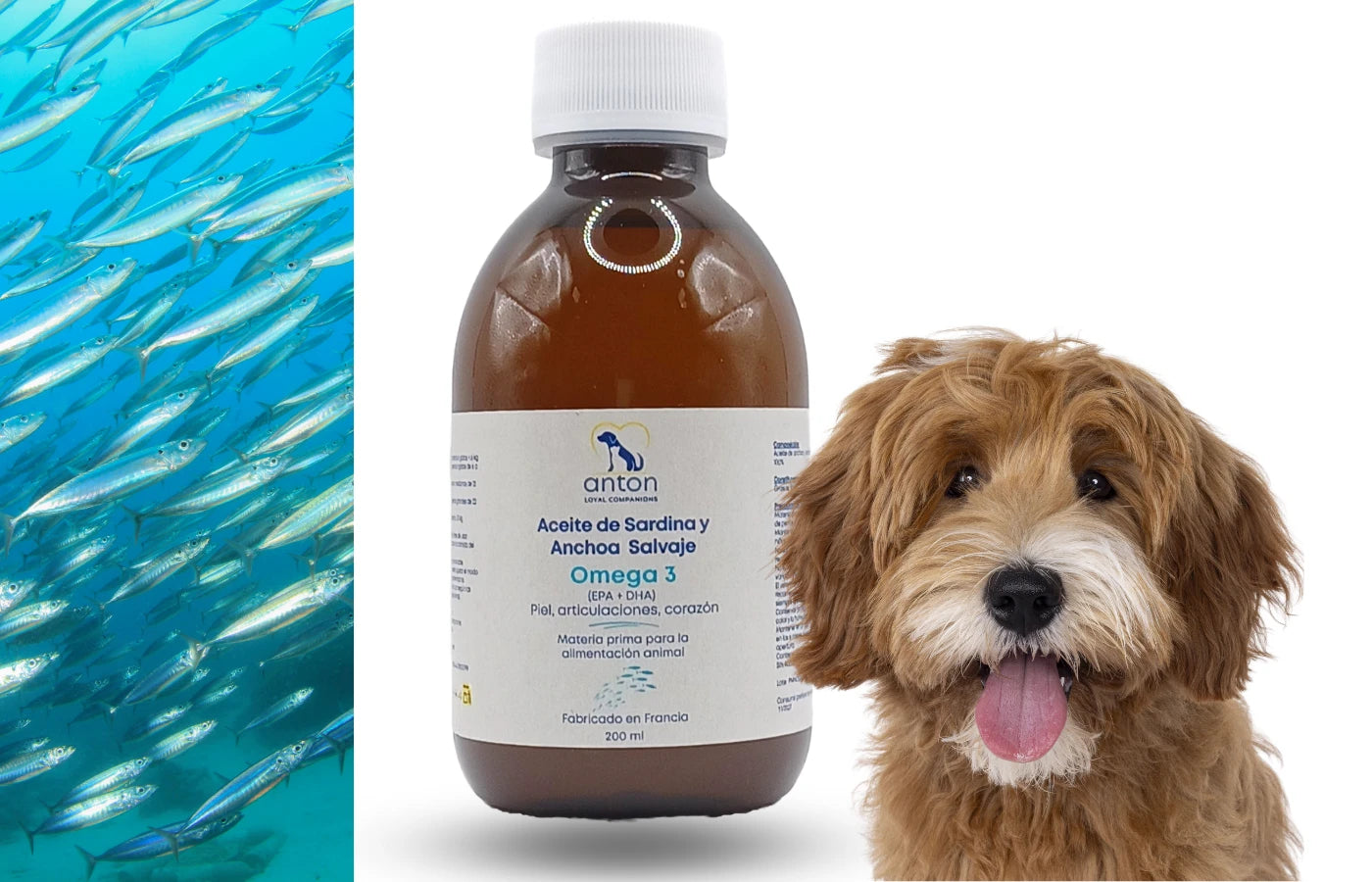 Suplemento natural con Omega-3 de sardina y anchoa salvaje para perros y gatos mayores, apoyo a movilidad, corazón y defensas