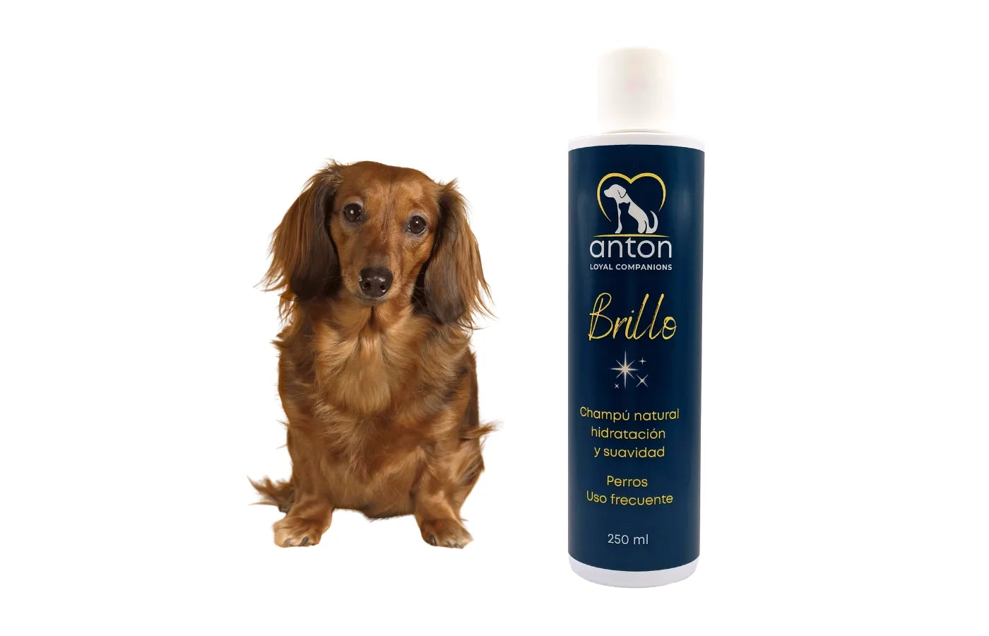 Hygiene naturale Champu Brillo perro Anton Loyal Companions
