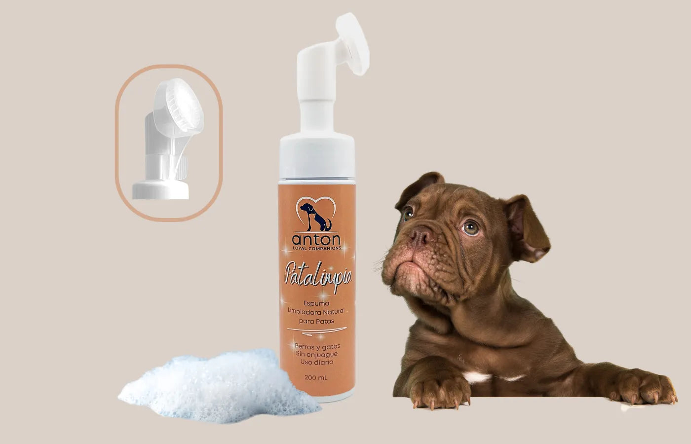 Cachorro con espuma limpiadora Patalimpia ANTON, higiene diaria de patas sin enjuague