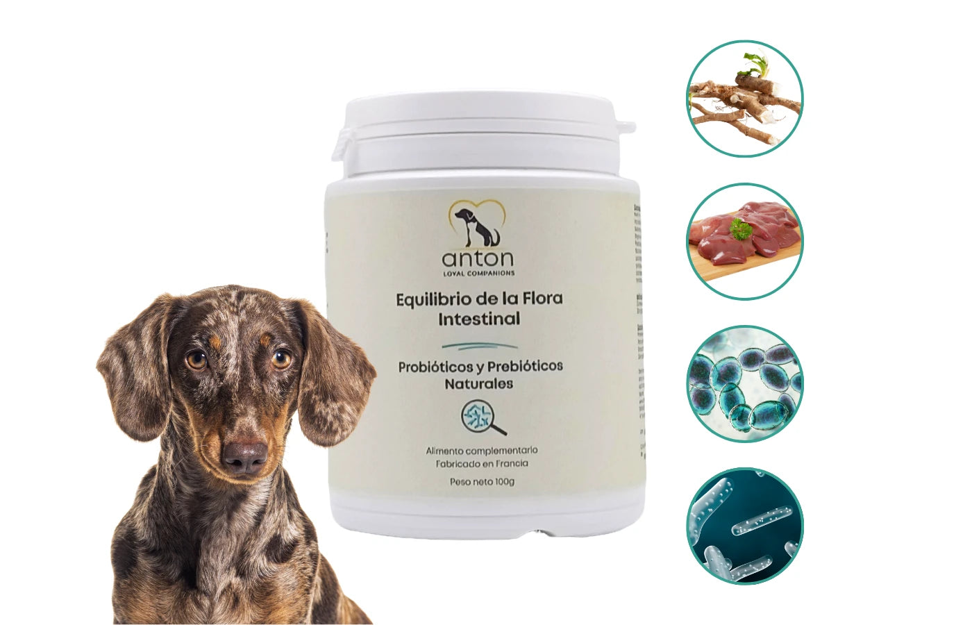 Suplemento natural Flora intestinal para perros y gatos, probióticos, prebióticos y postbióticos para digestión y purificación