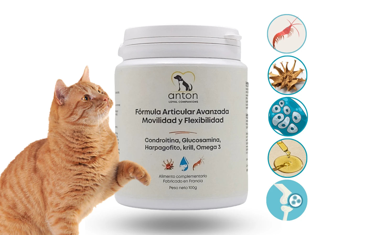 Formula articular avanzada para perros y gatos mayores, suplemento natural con condroitina, glucosamina, MSM, harpagofito y Omega 3 para movilidad y bienestar