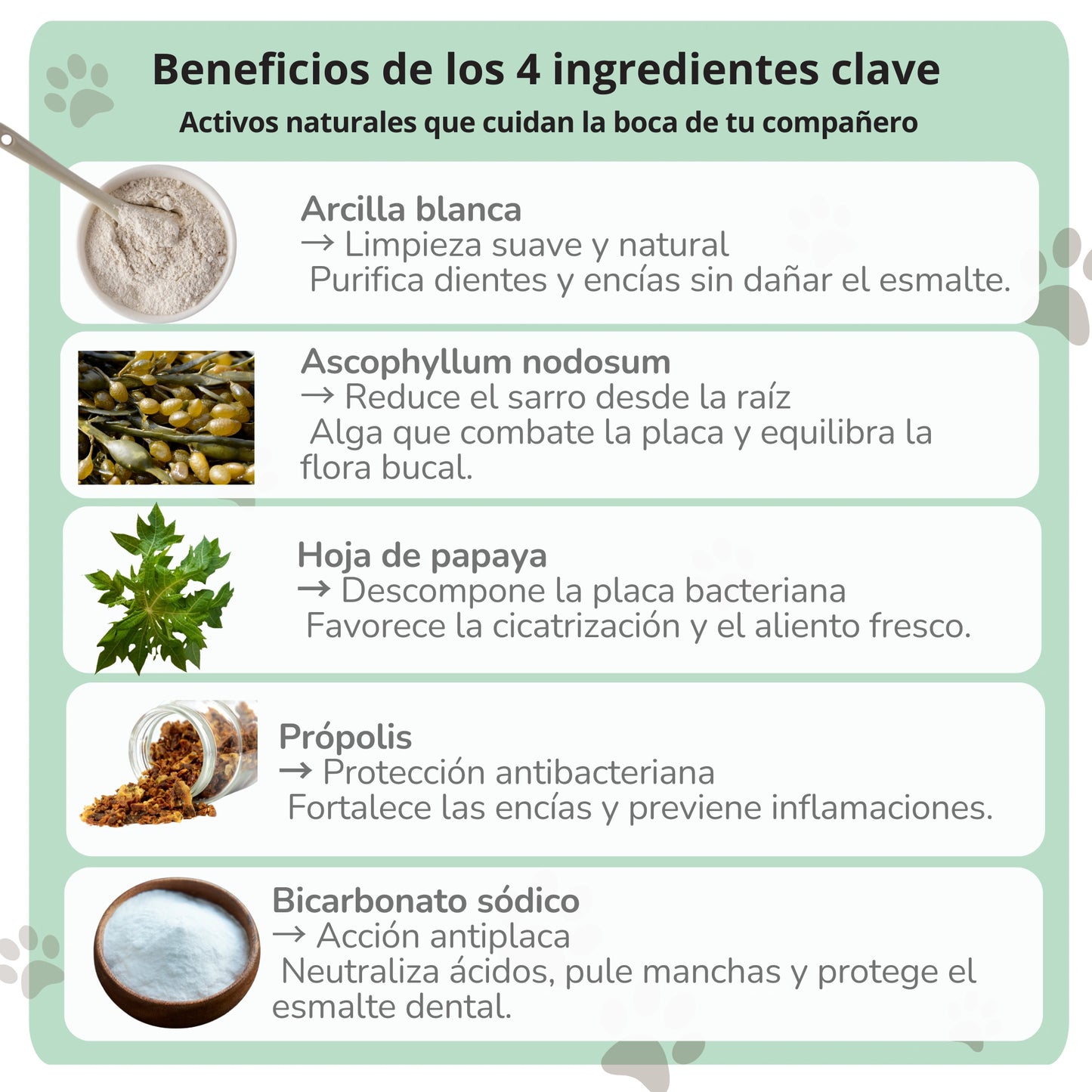 Ingredientes del polvo dental ANTON para perros y gatos: arcilla blanca, alga ascophyllum, papaya, própolis y bicarbonato - limpieza, protección y encías sanas