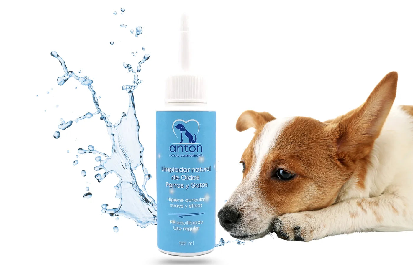 Perro junto al limpiador natural de oídos ANTON, higiene auricular suave y eficaz, uso regular