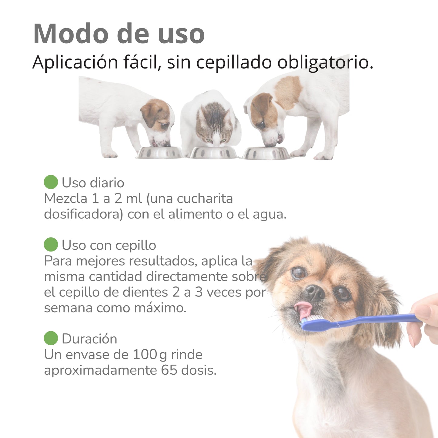 Modo de uso del polvo dental ANTON: mezclar con comida o agua, o aplicar con cepillo - uso diario fácil y sin cepillado obligatorio