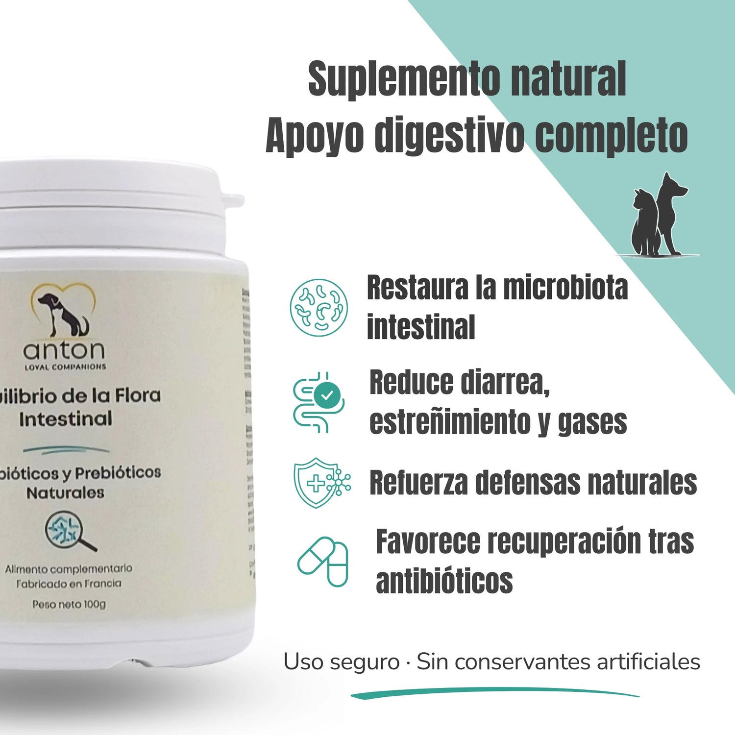 Beneficios suplemento natural apoyo digestivo – microbiota, defensas, recuperación