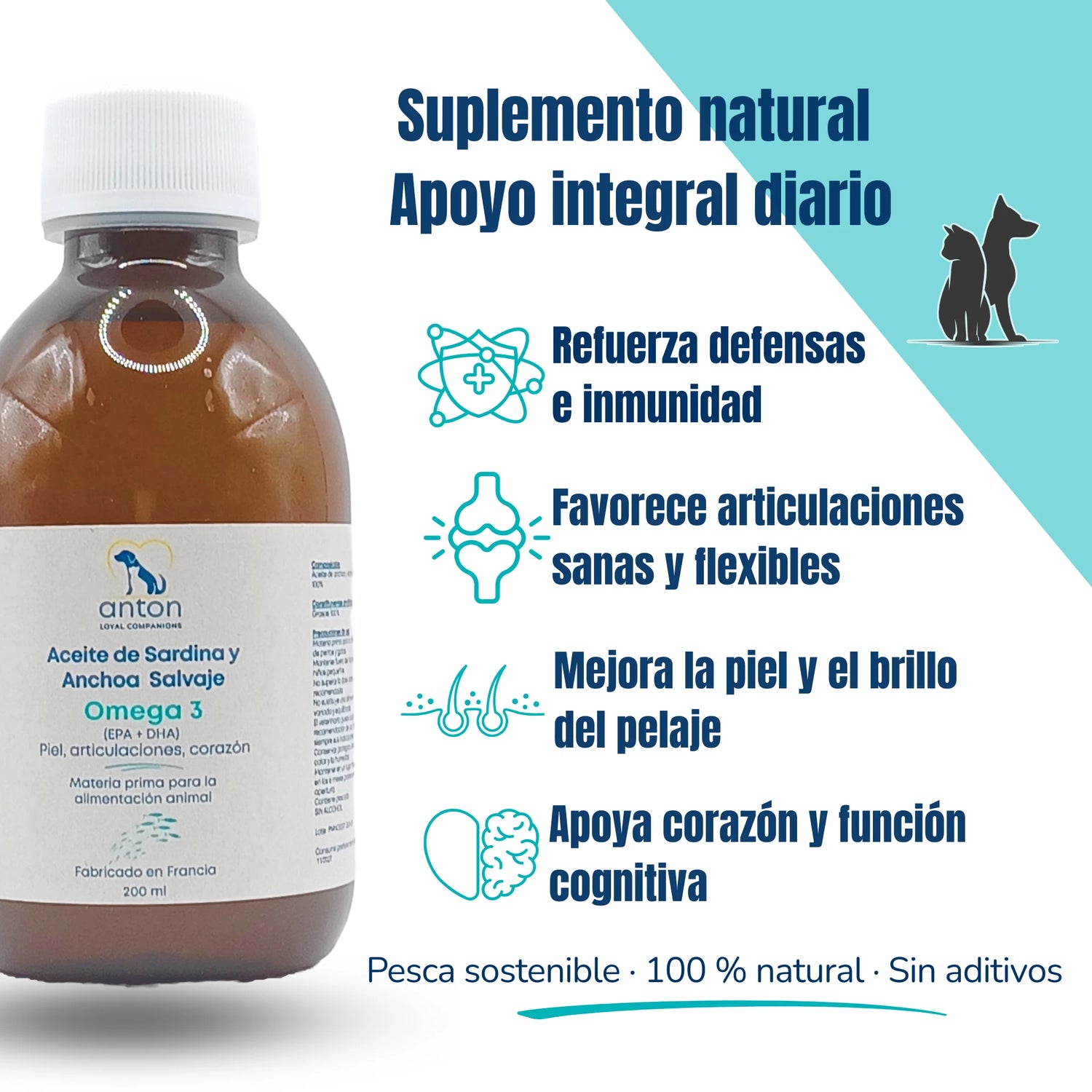 Beneficios aceite de sardina y anchoa salvaje – defensas, articulaciones, piel, corazón y cerebro