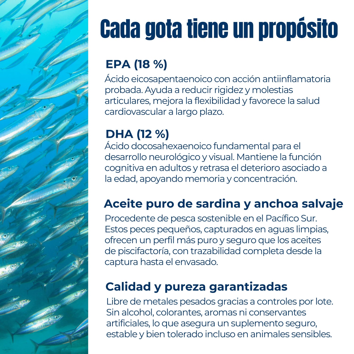 Detalle composición aceite sardina y anchoa – EPA 18 %, DHA 12 %, pesca sostenible