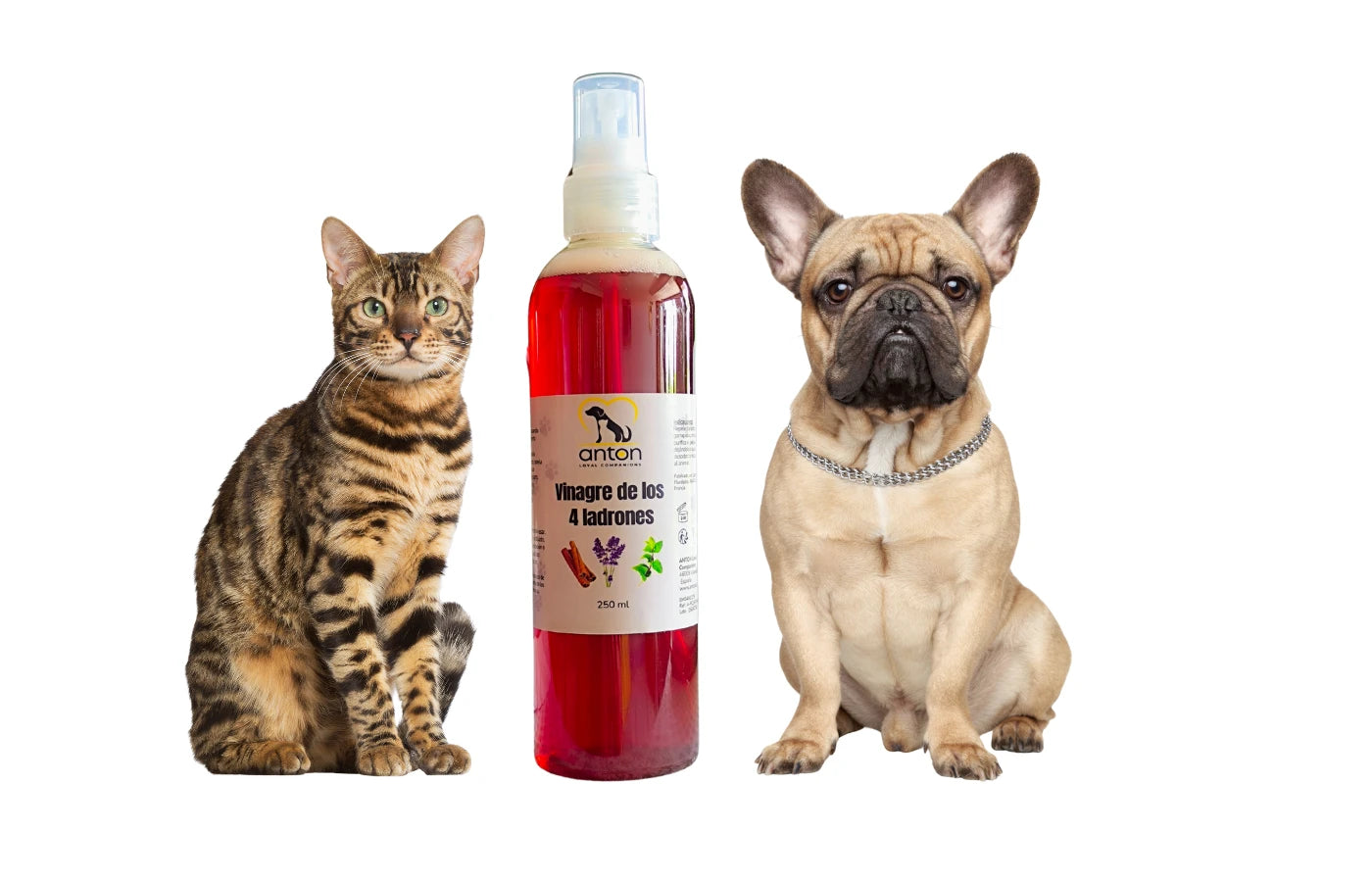 Hygiene naturale Vinagre de los 4 ladrones perro y gato Anton Loyal Companions