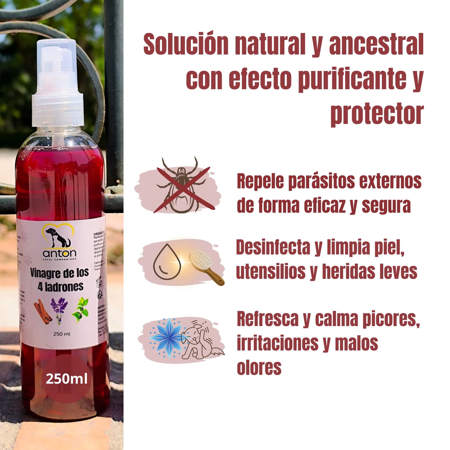 Botella de vinagre de los 4 ladrones ANTON junto a beneficios destacados: repelente natural, desinfectante y calmante para piel e irritaciones de perros y gatos