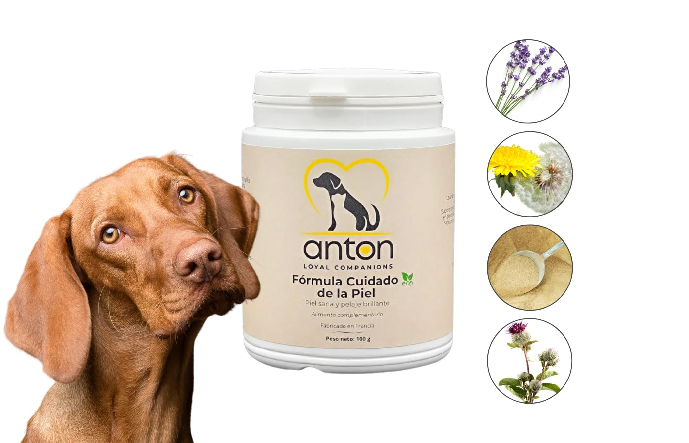 Suplemento natural perro y gato cuidado de la piel Anton Loyal Companions
