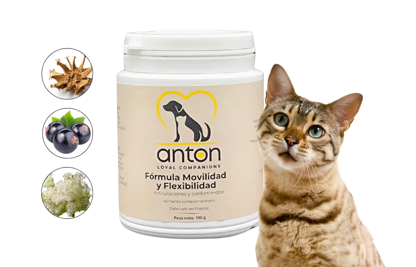 Suplemento natural perros y gatos Movilidad y flexibilidad Anton Loyal Companions