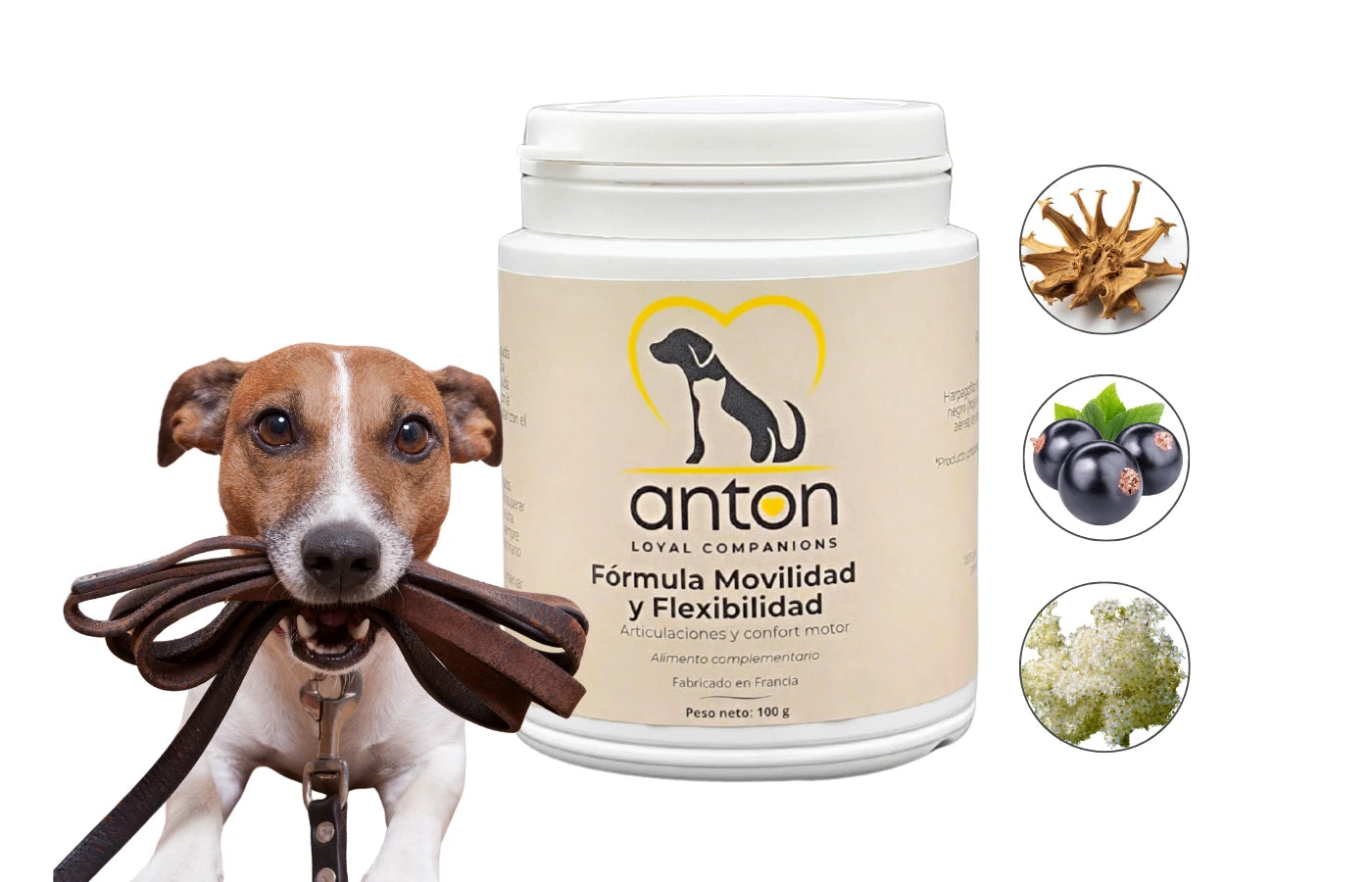 Suplemento natural perro y gato movilidad y flexibilidad Anton Loyal Companions