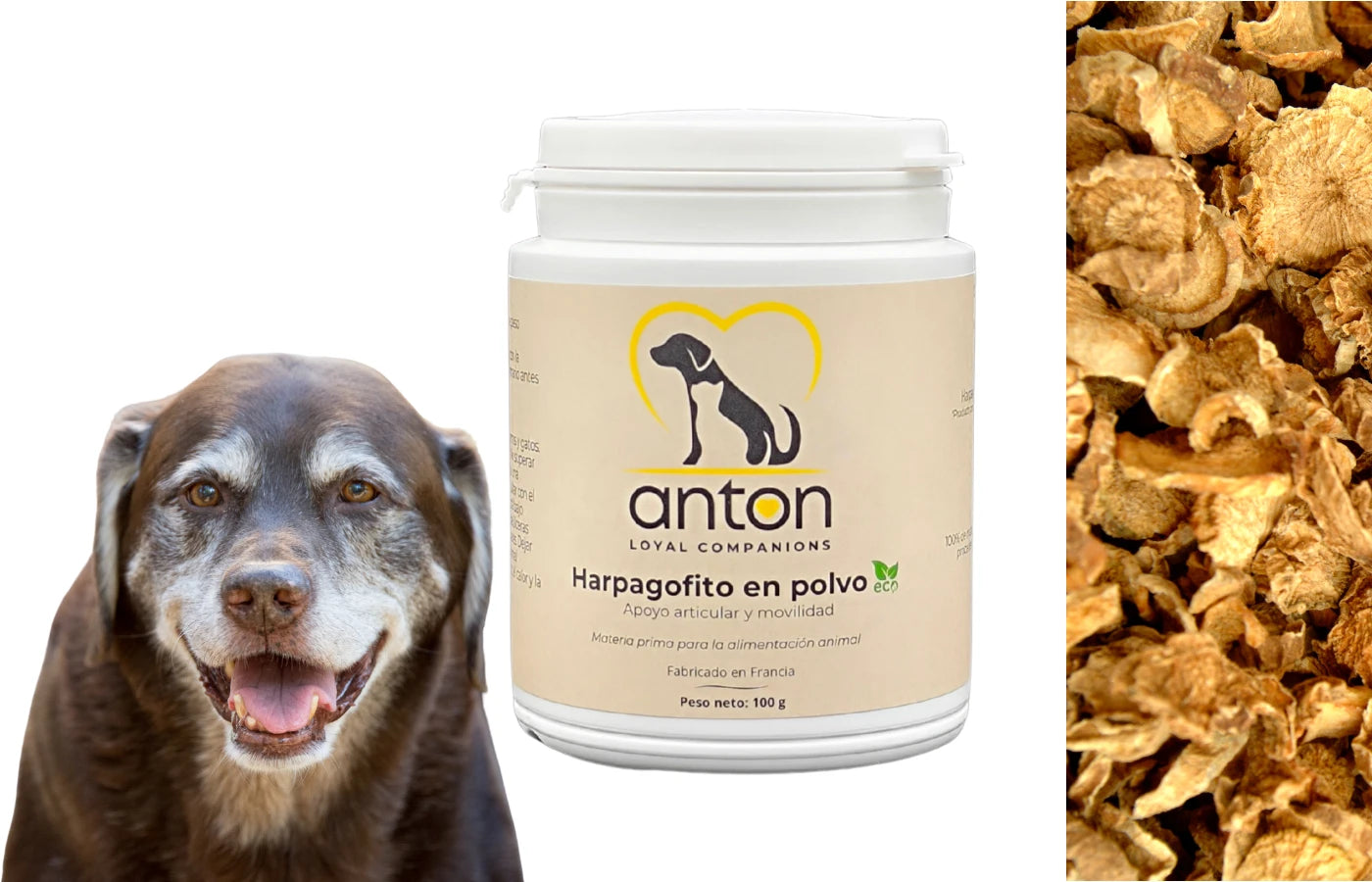 Suplemento natural perros y gatos Harpagofito Anton Loyal Companions