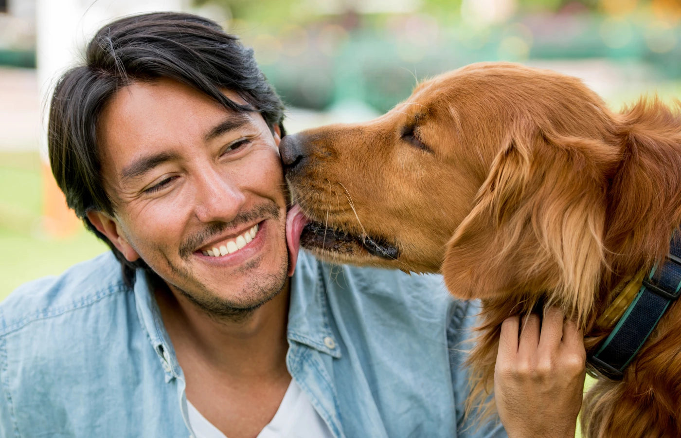 Círculo ANTON nivel Oro – Perro y humano, embajador ANTON con privilegios exclusivos