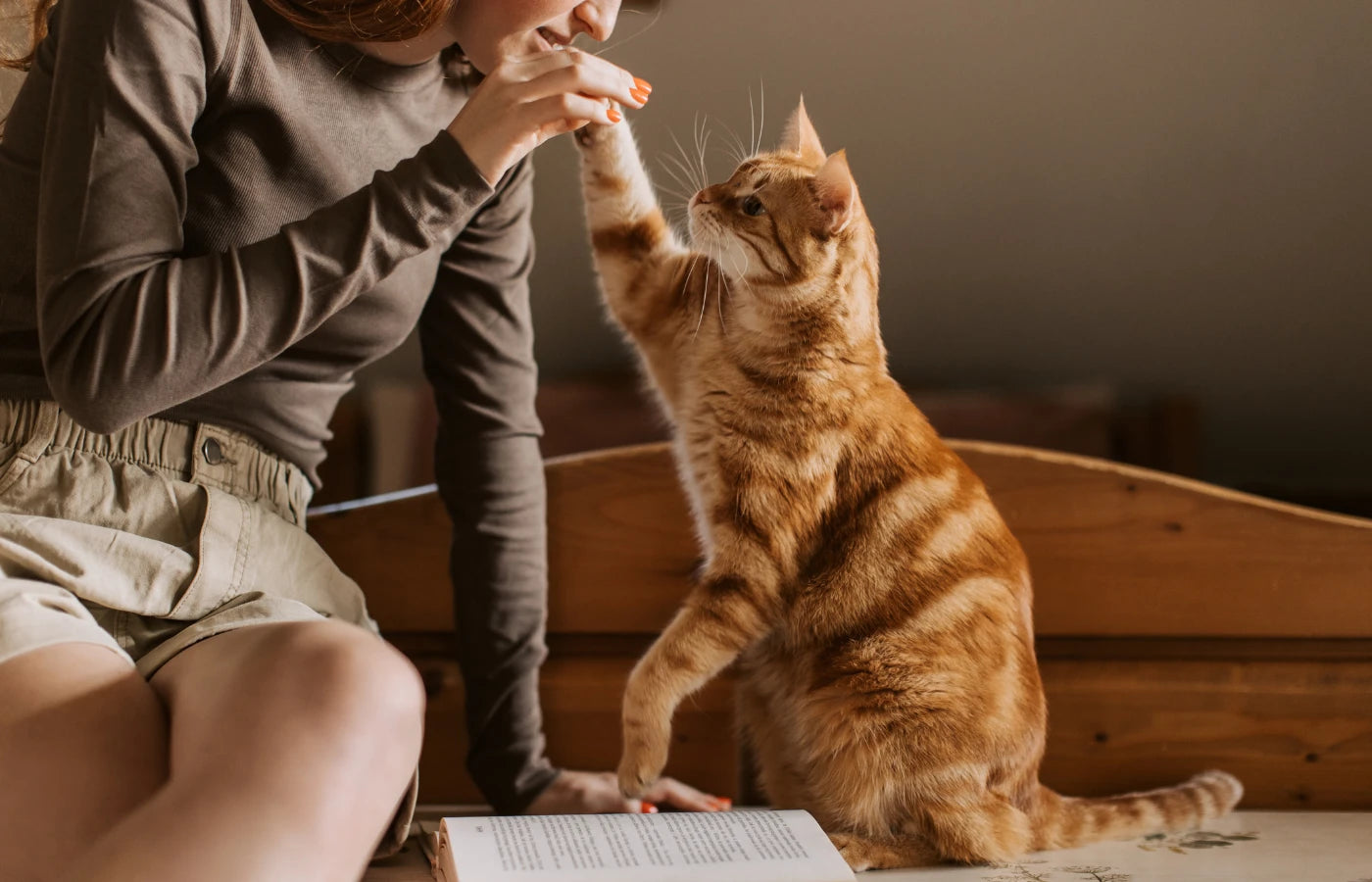 Círculo ANTON nivel Plata – Gato jugando con su dueña, confianza reconocida