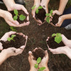 Varias manos sosteniendo tierra con plantas verdes como símbolo de sostenibilidad