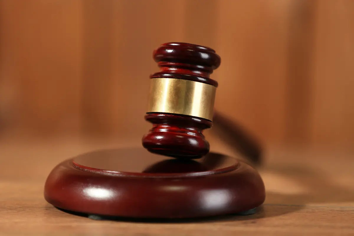 Ley de bienestar animal en España para perros y gatos representada por martillo judicial