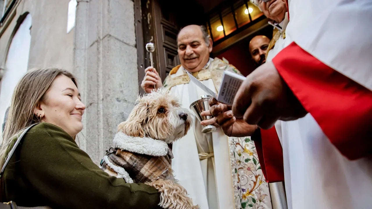 Bendición de un perro durante la celebración de San Antón en España, símbolo de la relación respetuosa entre las personas y sus animales de compañía.