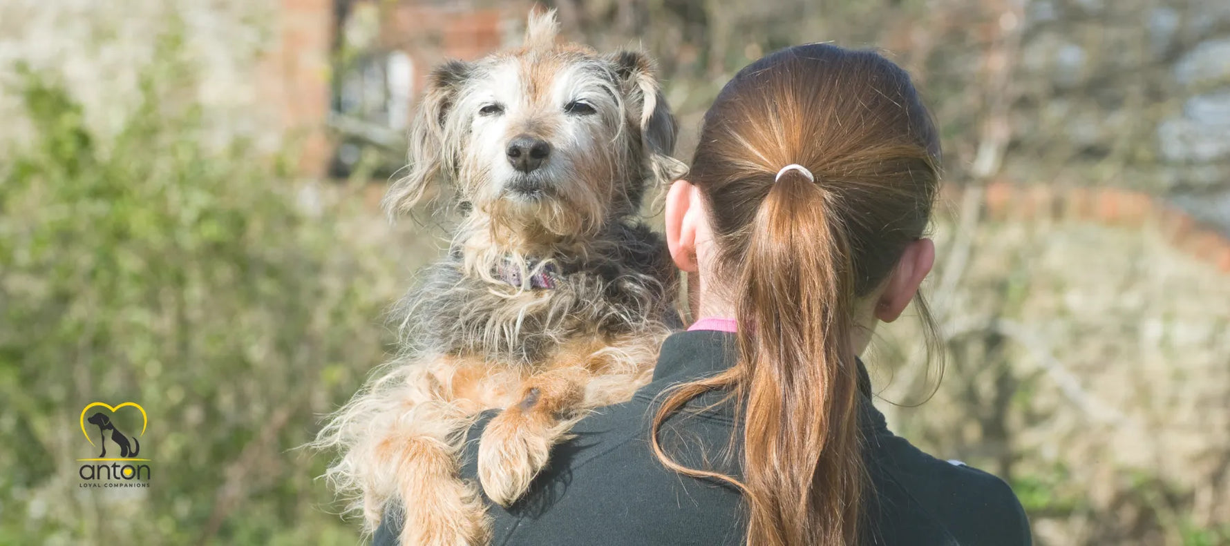 Amar hasta el final: acompañar a un perro o gato anciano_Anton Loyal Companions
