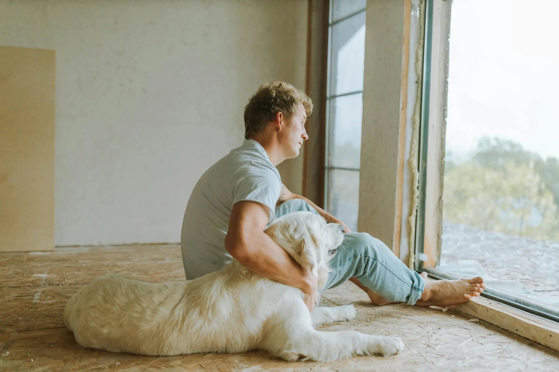 Estrés, ansiedad y conductas: comprender a tu perro o gato_Anton Loyal Companions
