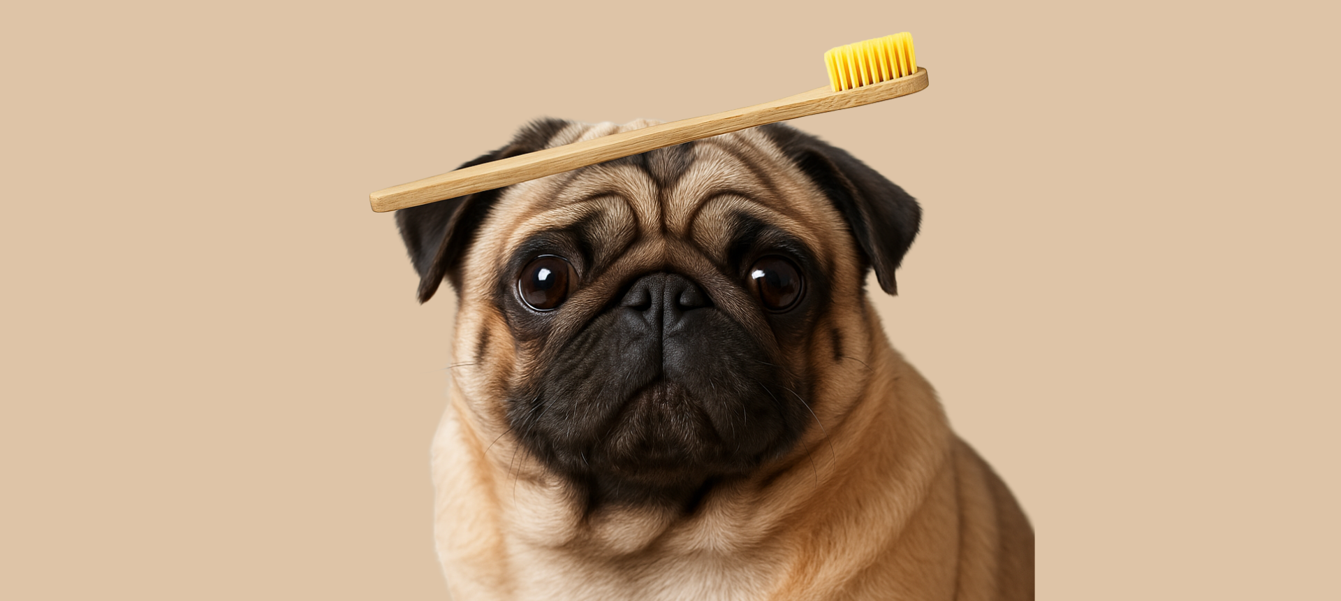 cuidado dental para perros y gatos