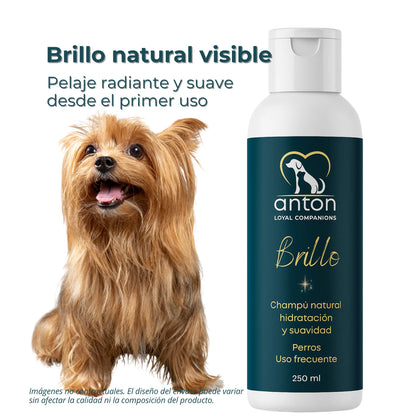 Champú Natural para Perros “Brillo” – Hidratación y Suavidad