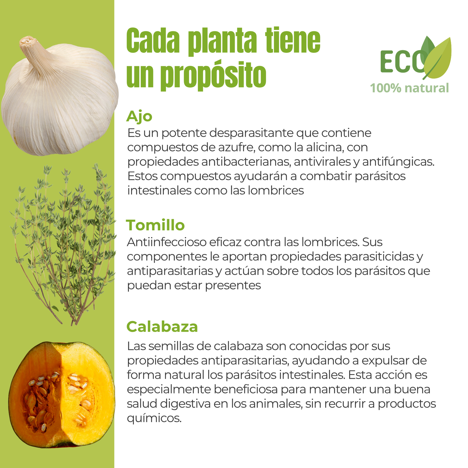 Suplemento natural para perros y gatos – Protección Parasitaria