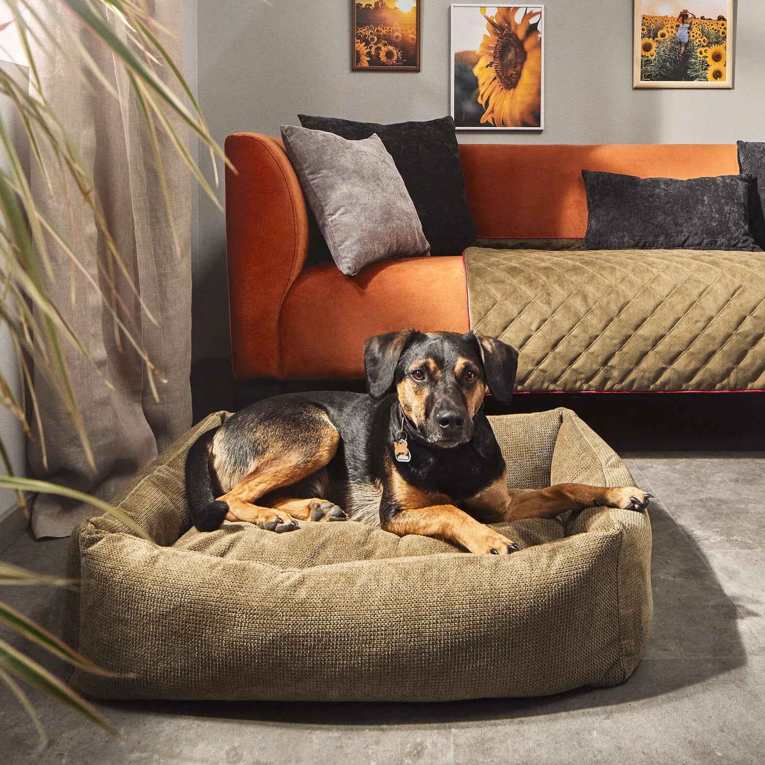 Cama prémium para perros TUDOR con colchón ECO COMFORT