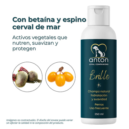 Champú Natural para Perros “Brillo” – Hidratación y Suavidad