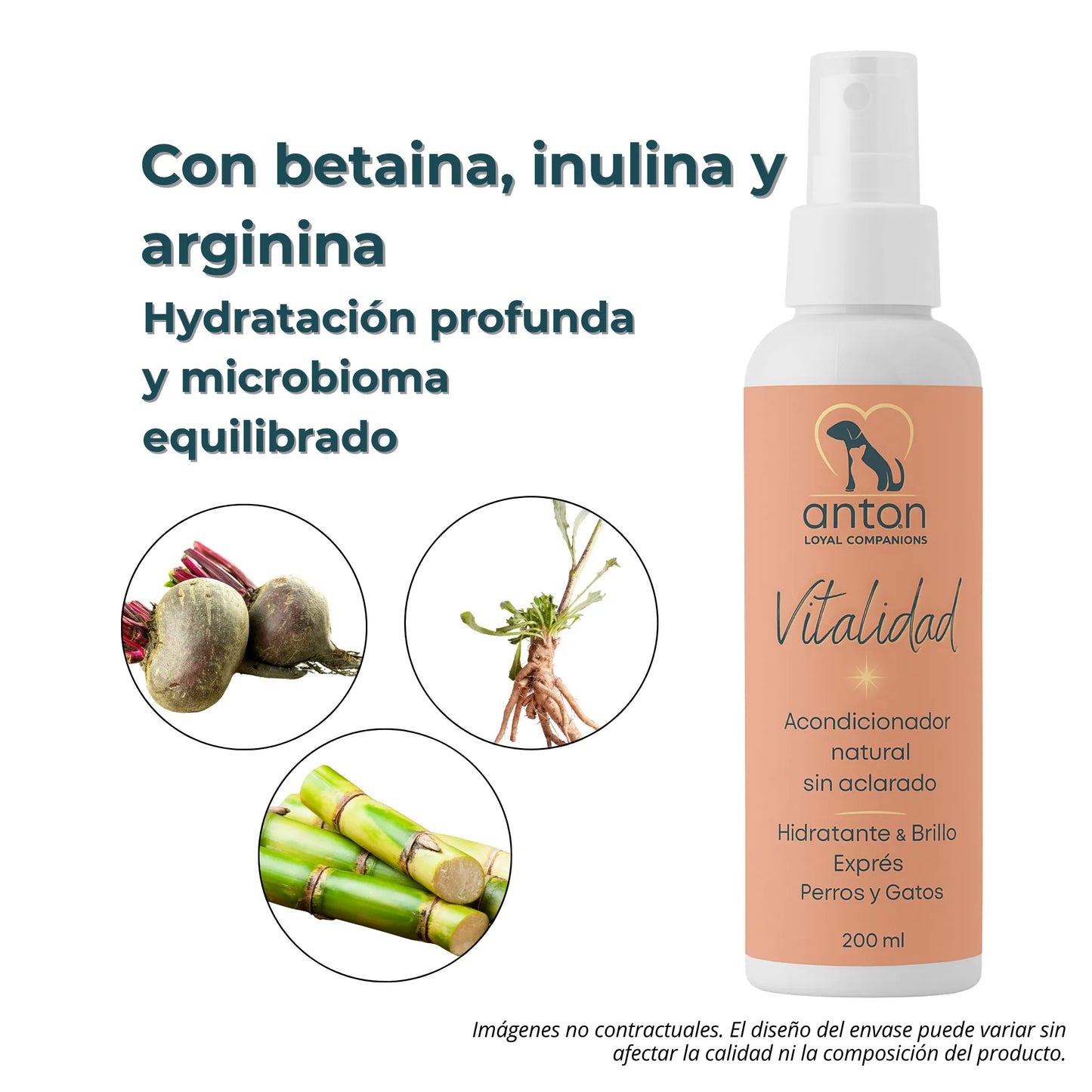 Acondicionador sin Aclarado para Perros y Gatos “Vitalidad”