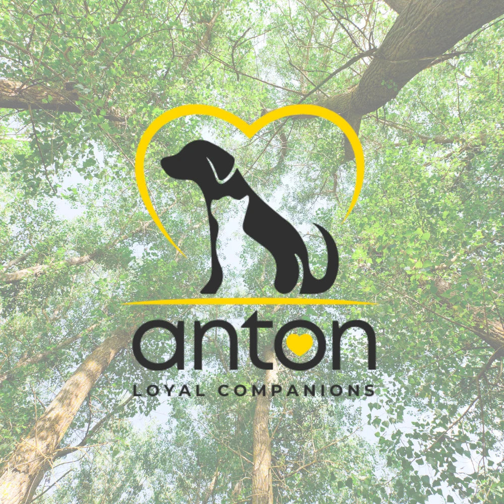 En ANTON creemos que el vínculo entre humanos y animales se basa en respeto, confianza y naturaleza. Nuestra misión es ofrecer suplementos y productos de higiene 100 % naturales, fabricados en Europa, para cuidar a perros y gatos con la misma exigencia que a nosotros mismos.