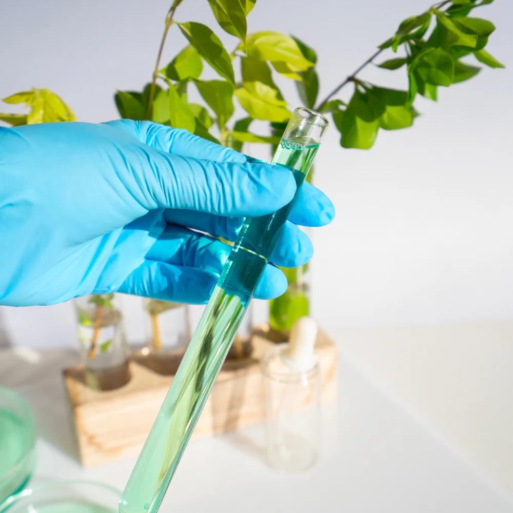 Mano con guante azul sosteniendo un tubo de ensayo con plantas verdes, símbolo de ciencia natural y colaboración responsable entre laboratorios europeos de ANTON Loyal Companions.