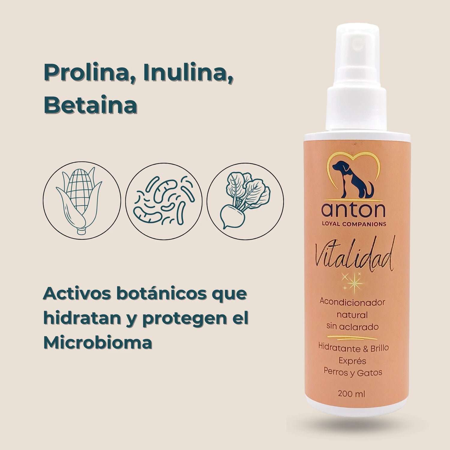 Ingredientes naturales del acondicionador Vitalidad ANTON Loyal Companions: prolina, inulina y betaina, que hidratan y protegen el microbioma.