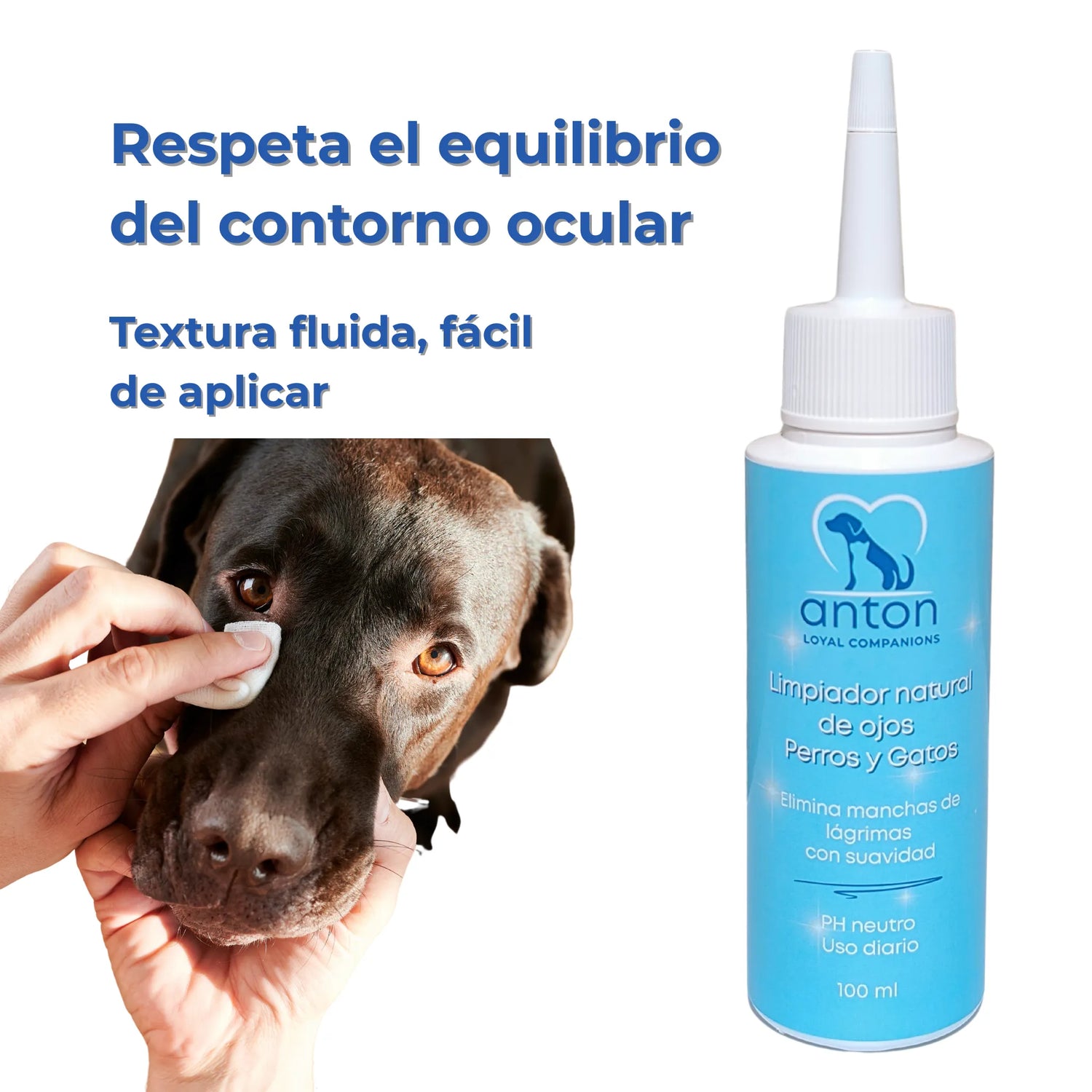 Persona limpiando el ojo de un perro con el limpiador ANTON