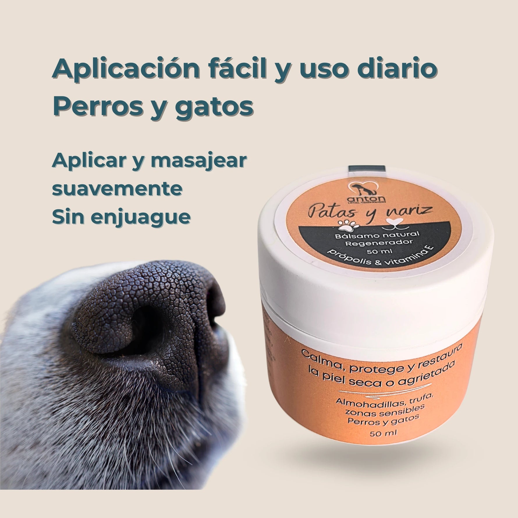 Aplicación tópica del bálsamo Patas y Nariz en nariz de perro para proteger zonas sensibles