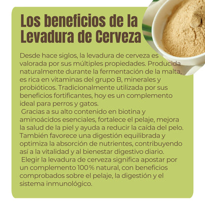 La levadura de cerveza es rica en vitaminas B, minerales y probióticos, ideal para perros y gatos. Ayuda a reducir la caída del pelo, fortalece la piel, estimula el sistema inmunológico y mejora la absorción de nutrientes. Suplemento natural completo para piel, digestión y defensas.