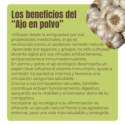 El ajo ecológico, conocido desde la antigüedad por sus virtudes medicinales, ofrece propiedades antibacterianas, antiparasitarias e inmunoestimulantes. Ideal para reforzar el sistema inmune, favorecer la digestión y apoyar la circulación en perros y gatos.