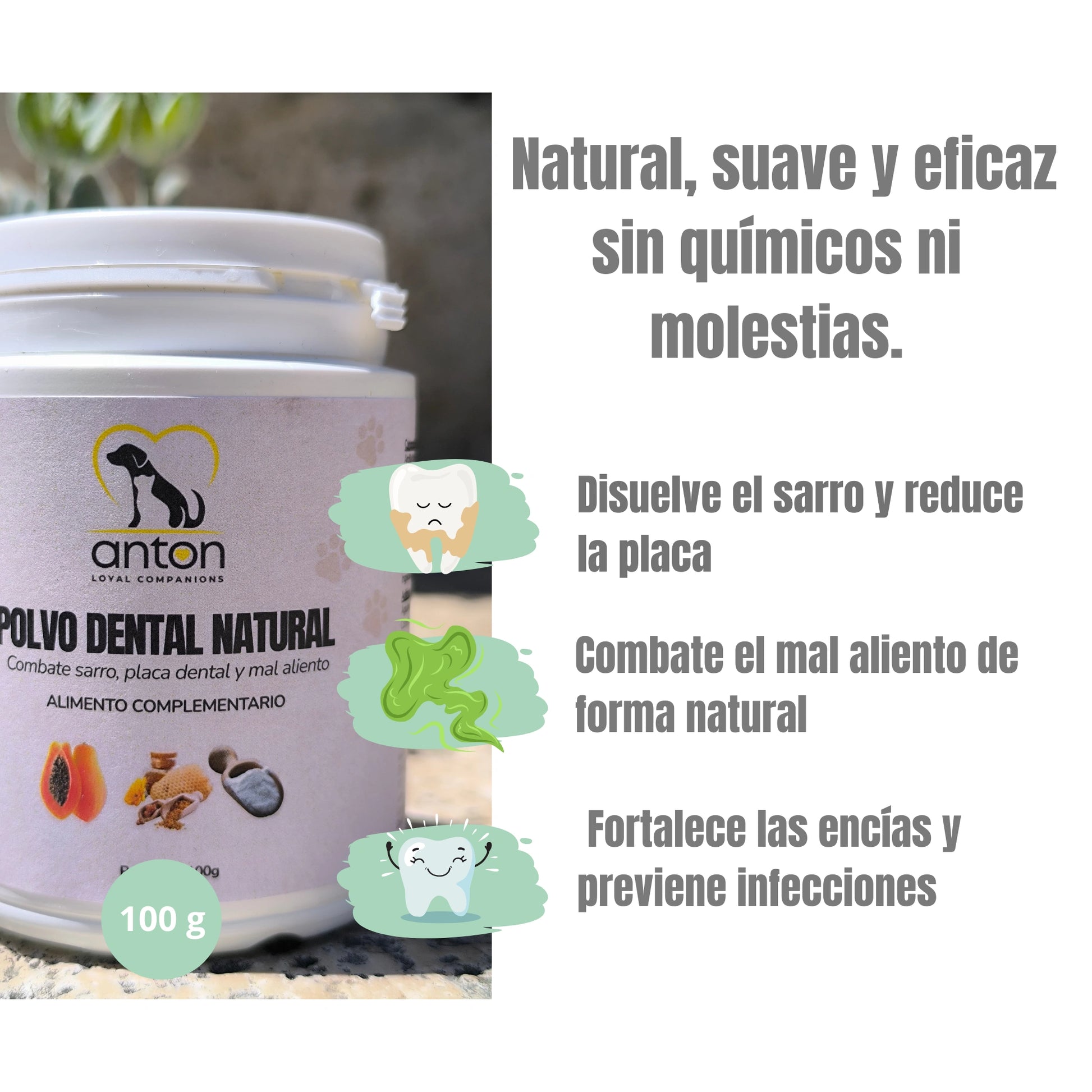 Envase del polvo dental natural ANTON con texto sobre beneficios: reduce sarro y placa, combate mal aliento, fortalece encías de forma natural