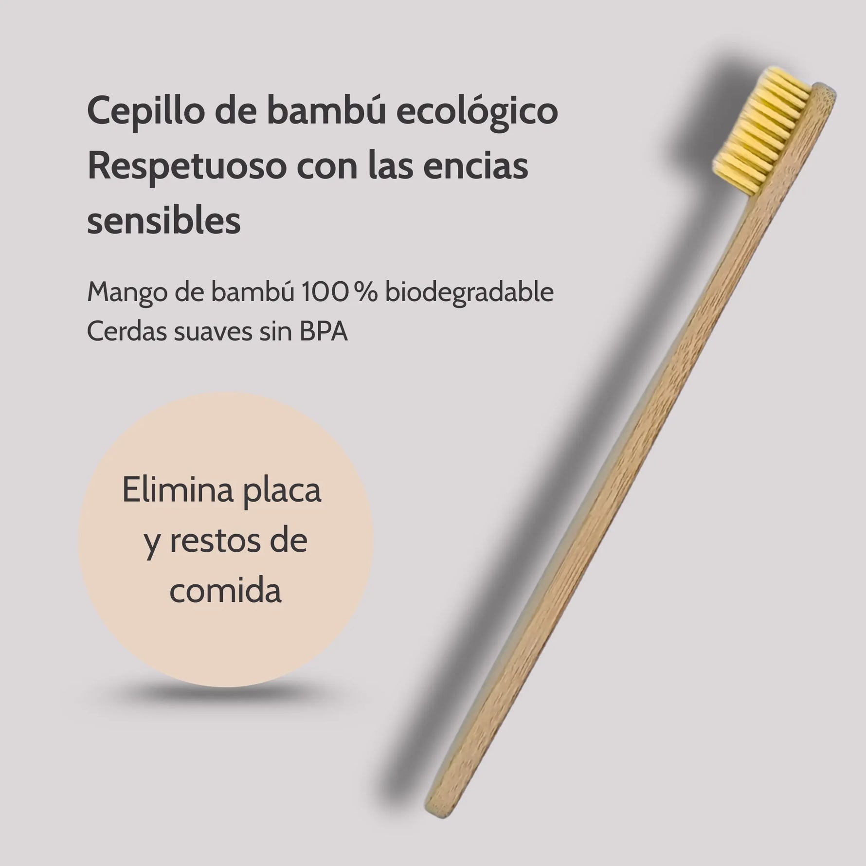 Cepillo de bambú ANTON con mango biodegradable y cerdas suaves sin BPA, elimina placa y restos de comida