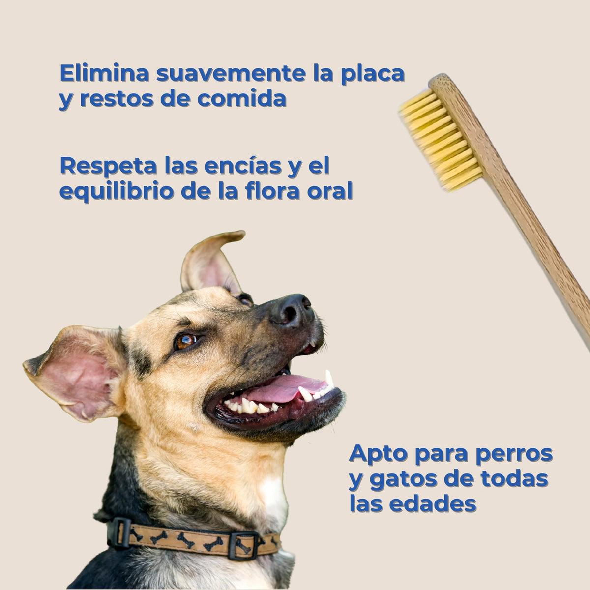 Cepillo dental biodegradable eliminando placa y restos de comida en perro mestizo