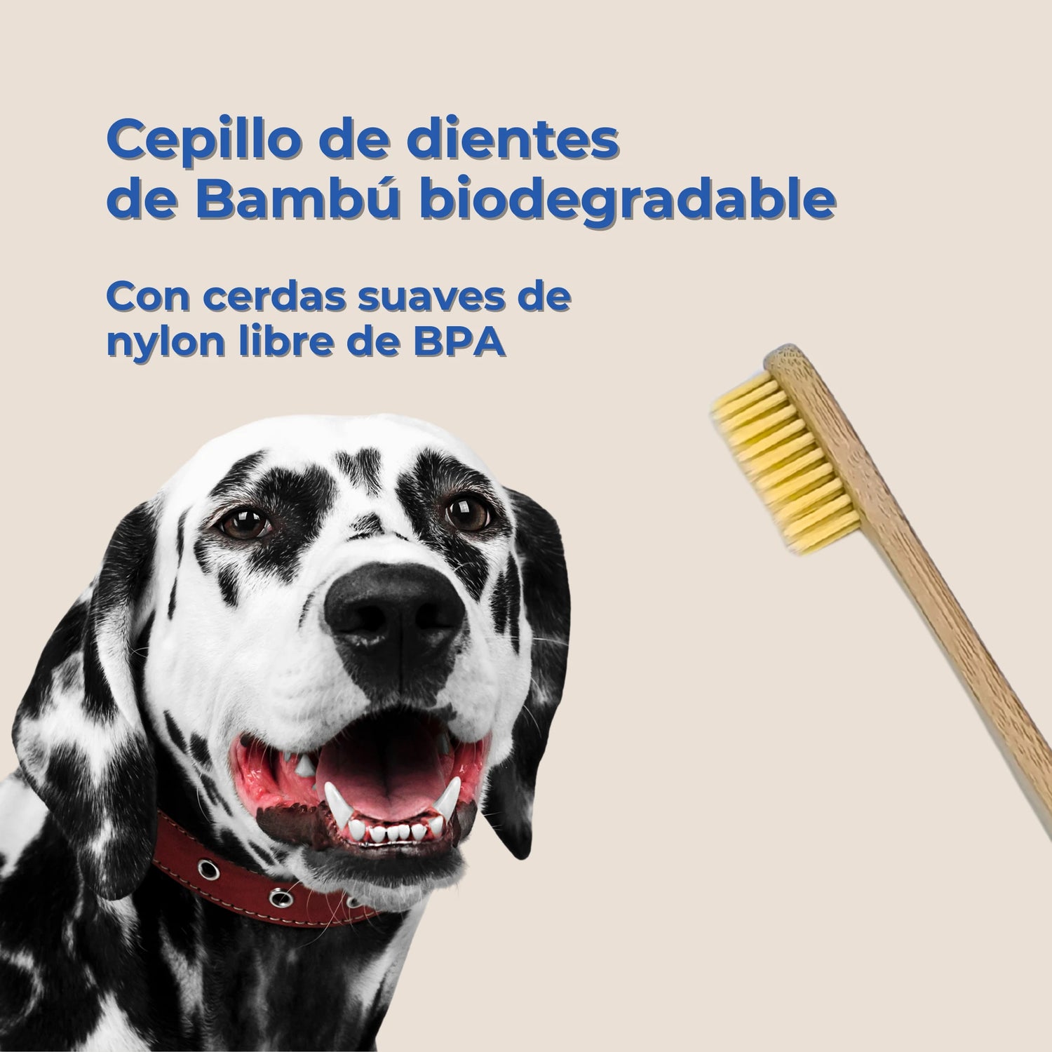 Cepillo de dientes de bambú ecológico con perro dálmata, cerdas suaves de nylon sin BPA