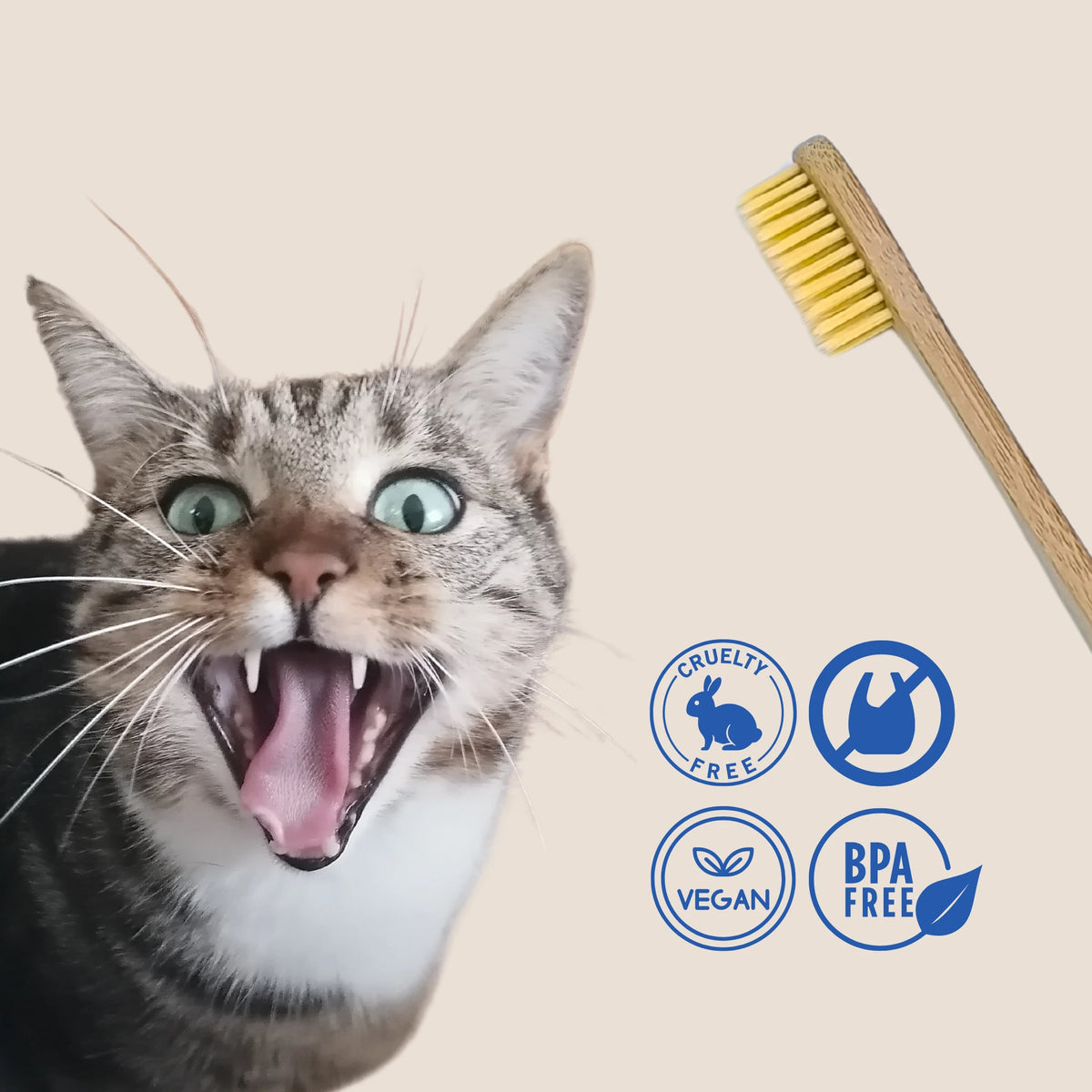 Cepillo de dientes de bambú con gato, libre de BPA, vegano y cruelty free