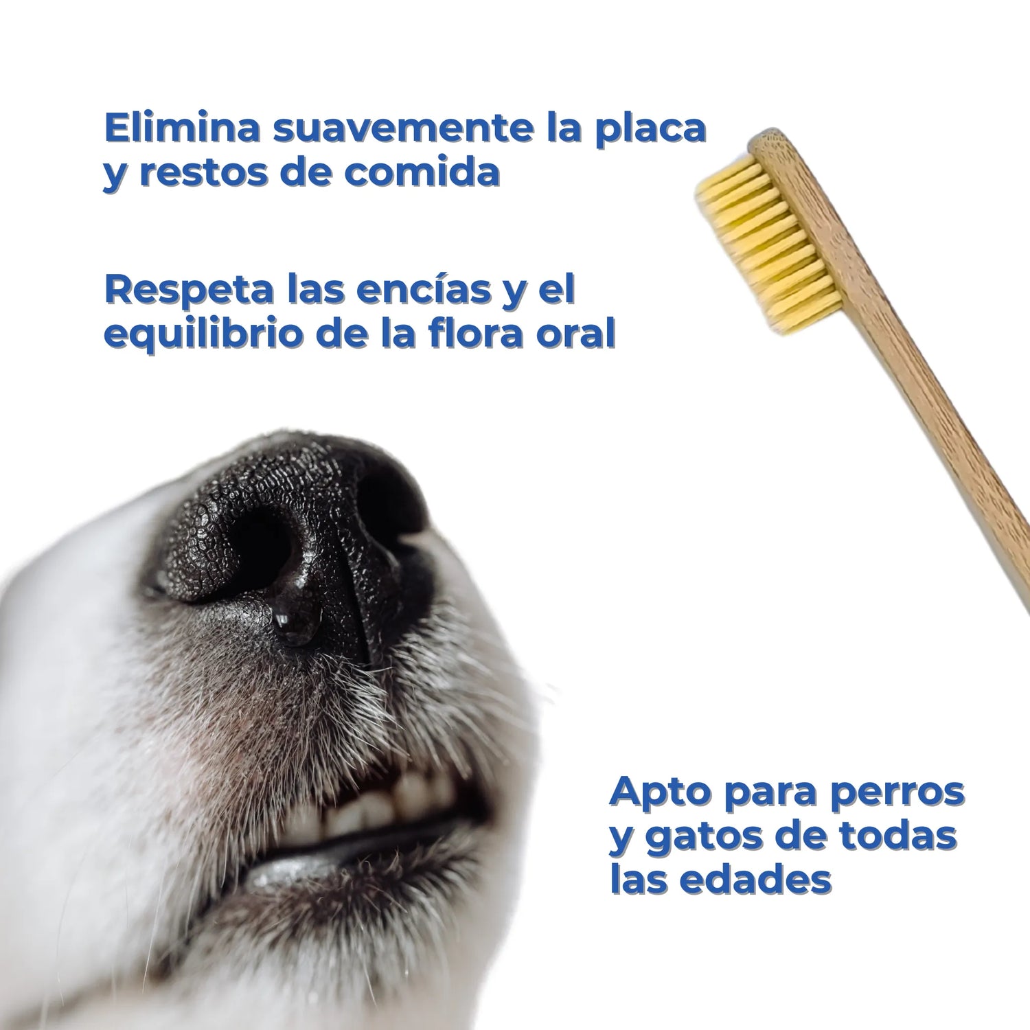 Elimina placa y restos, cuida encías y flora oral – perros y gatos_Anton Loyal Companions