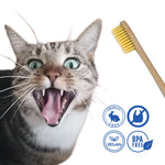 Cepillo dental vegano, libre de crueldad y sin BPA – perros y gatos_Anton Loyal Companions