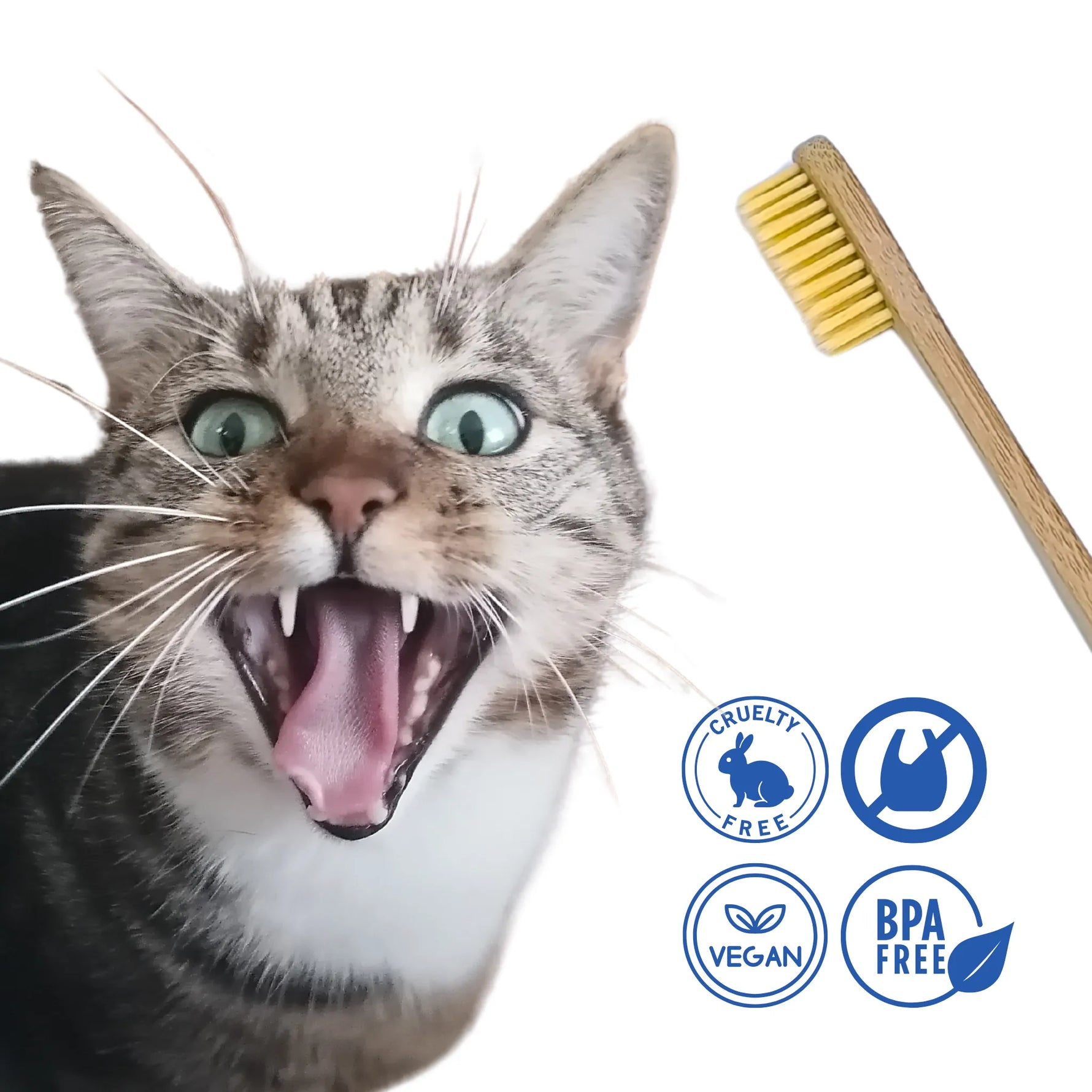 Cepillo dental vegano, libre de crueldad y sin BPA – perros y gatos_Anton Loyal Companions