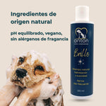 Perro siendo bañado con champú natural ANTON Brillo, fórmula vegana, pH equilibrado y sin alérgenos.
