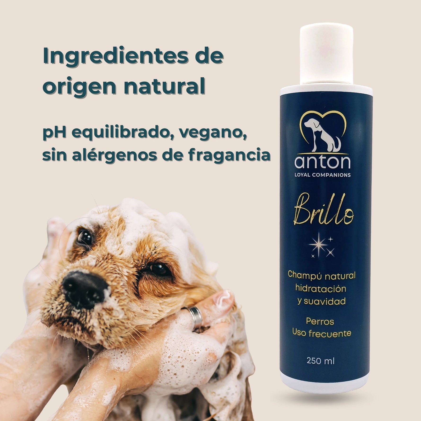 Perro siendo bañado con champú natural ANTON Brillo, fórmula vegana, pH equilibrado y sin alérgenos.